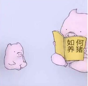 抖音看如何养猪的书表情包